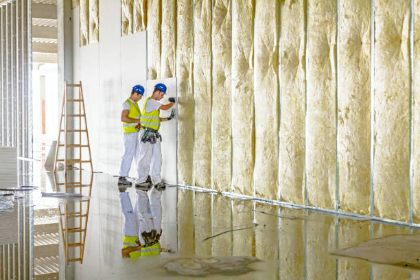 Best Professional Insulation Contractor  in Kensington, NY